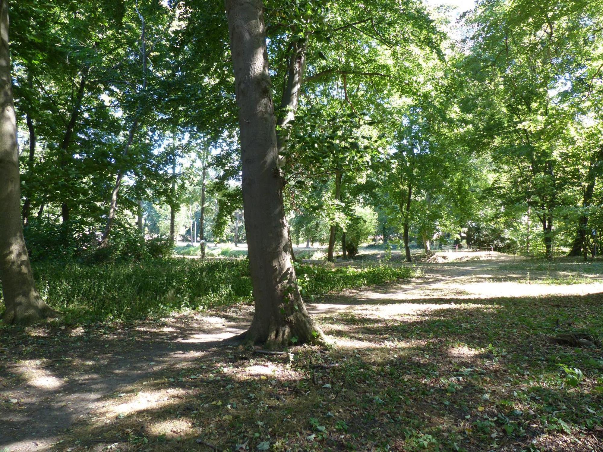 Ferienwohnung Mit Brockenblick Langenstein Exterior foto